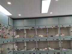 -萌宠之家·腊肠犬·马尔泰·小体犬舍