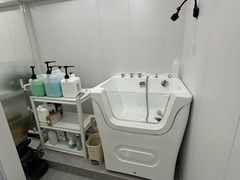 -爱洗澡的猫(天河路店)