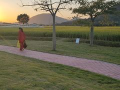 -艾米稻香小镇