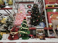 -山姆会员商店(邻瑞广场店)