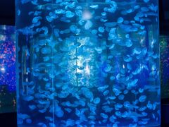 -江和美海洋公园