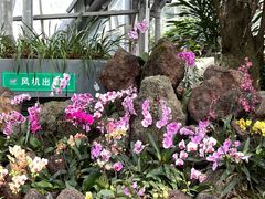 -南山植物园
