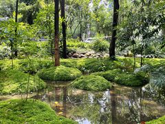 -成都市活水公园