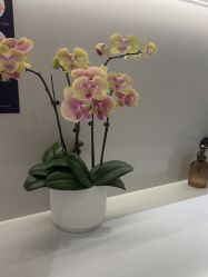 -杭州米兰柏羽医疗美容医院