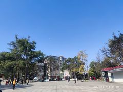 -南山植物园