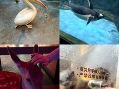 -波塞冬旅游度假区