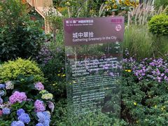 -海心沙亚运公园