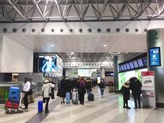 -米兰马尔彭萨国际机场