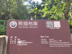 -都江堰中华大熊猫苑