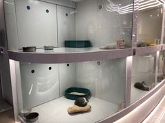 -1013 PET SHOP精品宠物商店(丁香店)