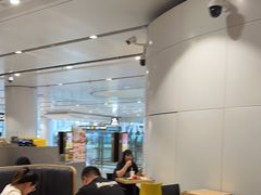 -麦当劳(北京大兴机场二层国内到达(安检外)店)