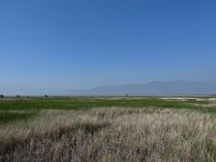 -野鸭湖国家湿地公园