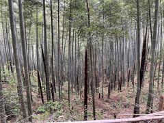 -梅岭月亮湾山体公园
