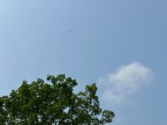 -BeauTea水仙(coco park店)