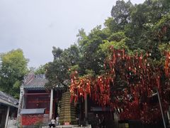 -国恩寺