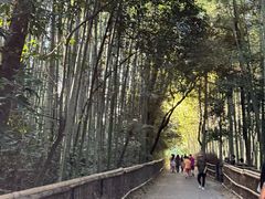 -岚山嵯峨野观光小火车