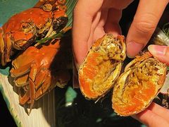 -花潮料理艺食馆(成都万象城店)