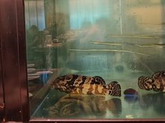 -新乾隆酒楼(帝景园店)