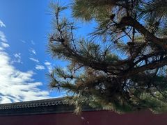 -故宫冰窖餐厅