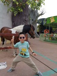 点击看大图 -宝燕乐园(闵行旗舰店)