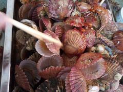 -晓伟海鲜家常菜