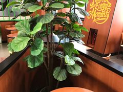 -魏斯理汉堡(西安沣东吾悦店)