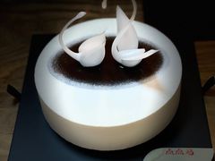-BLACKSWAN黑天鹅(环球店)