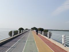 -贡湖湾湿地公园