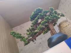 -马家斑.鲜鱼火锅(松湖万科店)