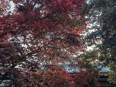 -大唐博相府酒店·陕西官府菜