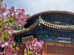 -潭柘寺景区