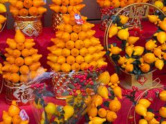 -越秀西湖花市(广州城市广场花卉店)