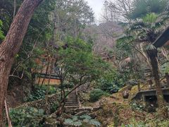 -宁海森林温泉