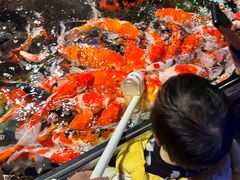 -太平洋海底世界