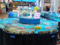 -皮记海鲜1995(寮步店)