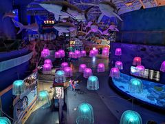 -烟台海昌鲸鲨海洋公园