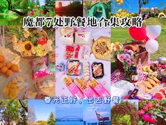 -上海滨江森林公园