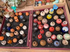 -桂林市花鸟市场