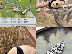 -巴陵广场