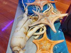 鲜人参锅底-千岛蚝高压锅生蚝·人参火锅(白云万达店)