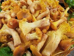 -菌海森林·非遗野生菌火锅(西山区滇池路摩根道店)