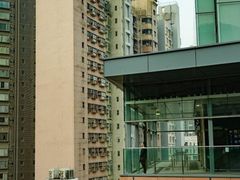 -香港大学