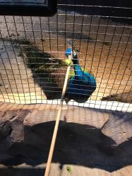 -酷嗒动物文化乐园(cutezoo西溪乐天城店)