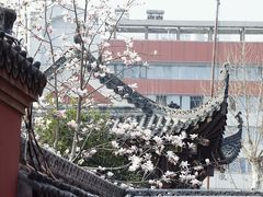 -长春观