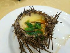 -海岛渔村大酒店(云霄路店)