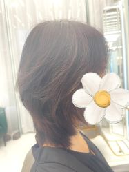 -5M HAIR SALON