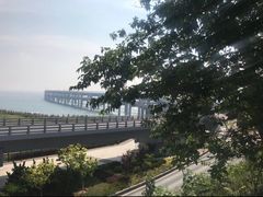 -星海湾跨海大桥