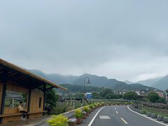 -龙坞茶村