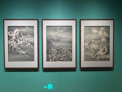 -龙美术馆(西岸馆)