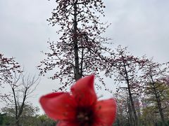 -文华公园(禅城区)